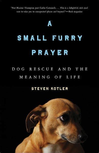 Heavenly father, please help us in our time of need, you have made us stewards of (name of pet). A Small Furry Prayer: Dog Rescue and the Meaning of Life ...