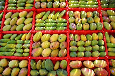 Mango Season Egypts Favorite Summer Fruit Egyptian Streets