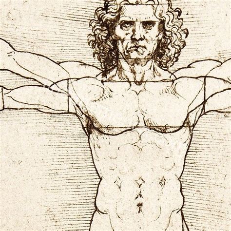 The Proportions Of The Human Figure Painting By Leonardo Da Vinci