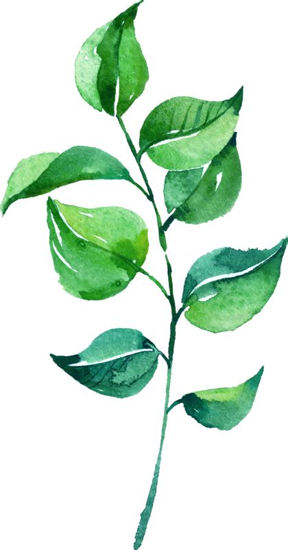 Leaf Watercolor Painting Watercolor Leaves Png Download 420800