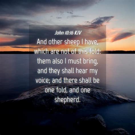 John 1016 Kjv And Other Sheep I Have Which Are Not Of This