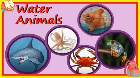 Learn About Water Animals Preschool Learning For Kids