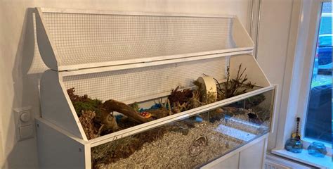 Diy Lid Ikea Detolf Hamsterscape Ikea Detolf Ikea Hamster Diy Cage