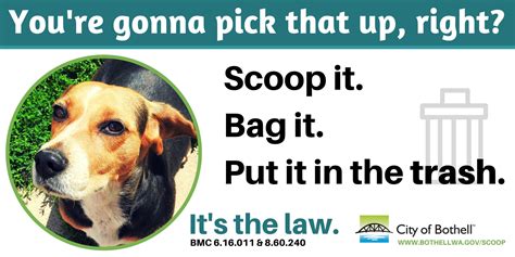 Is It The Law To Pick Up Dog Poop