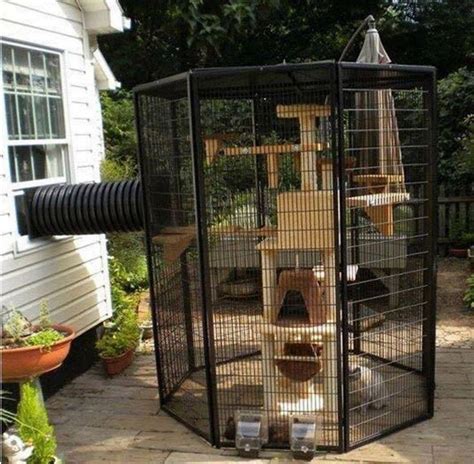 Best 25 Outdoor Cat Enclosure Ideas On Pinterest Cat