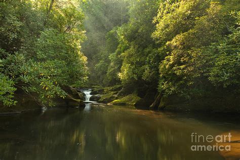 Chattooga River At Dawn Photograph By Matt Tilghman Fine Art America