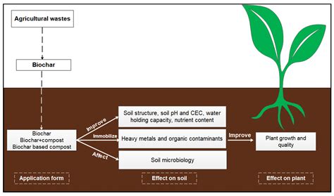 Applied Sciences Free Full Text Agricultural Waste Based Biochar