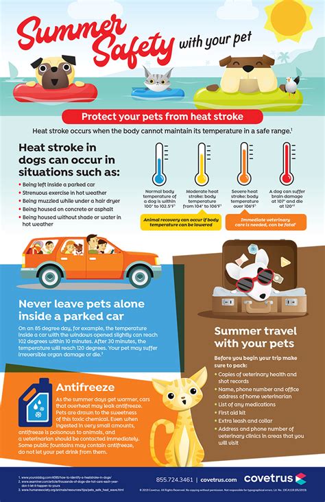 Summer Safety With Your Pet Infographic