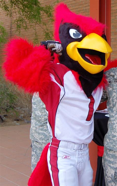 Big Red Cardinals Mascot National Football League Football League