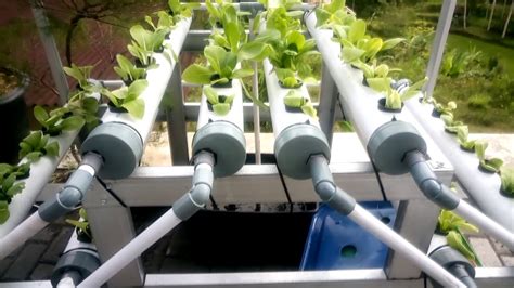 Hydroponics Growing System Homemade Youtube