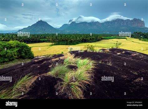 Wonderful Monsoon Climate With Misty White Clouds Mountain Background