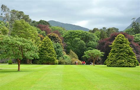 Hd Wallpaper Green Trees During Daytime Park Parklandschaft English