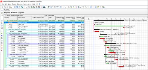how to create a monthly cost report in primavera p6
