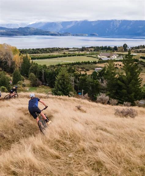 Mountain Biking And Cycling Southland New Zealand