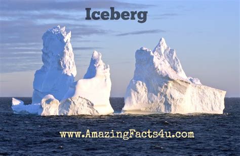 Iceberg Amazing Facts 4 U