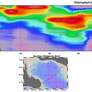 Check spelling or type a new query. Zonasi Laut Secara Vertikal Dan Horizontal - Nusagates