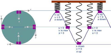 Physicslab Simple Harmonic Motion