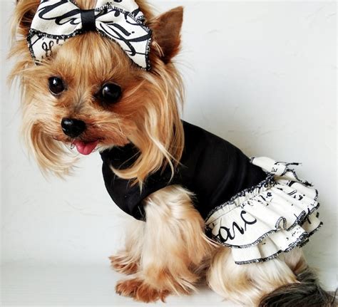 Dog Denim Clothes For Small Breeds Of Dogs Xs Dog Girl Clothes