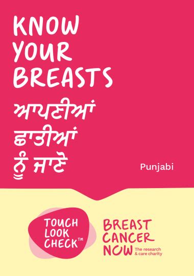 Know Your Breasts Quick Guide Punjabi Bcc226 Breast Cancer Now
