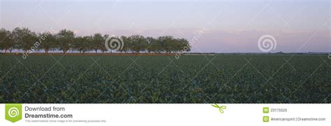 Farm Fields And Ocean With Inishmaan Island In Background Royalty Free