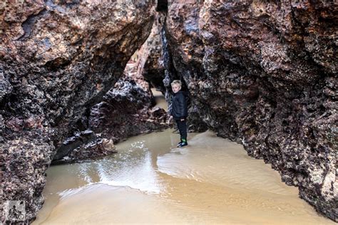 Forrest Caves Newhaven — Mamma Knows South