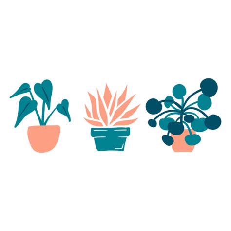 Cute Houseplants Flat Png Image Download As Svg Vector Transparent