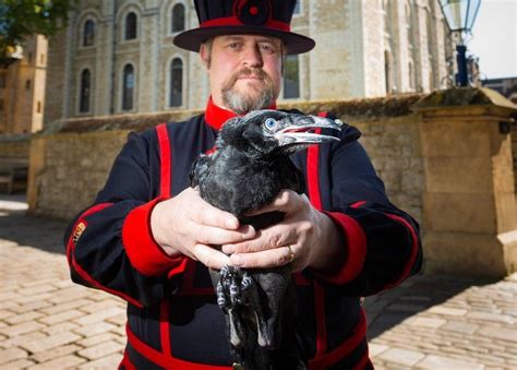 Pevnost Gepard Mince Tower Of London Ravens Legend Vedení Jazz Erupce