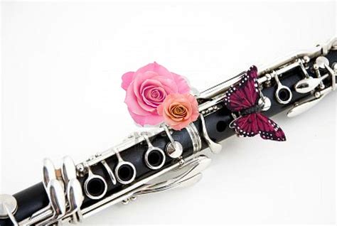 Clarinet Butterfly Music Butterfly Music Entertainment Clarinet Hd