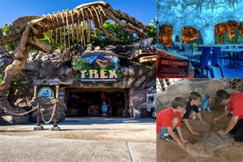 15 Fun Themed Restaurants in Orlando for Families • Visiting Orlando