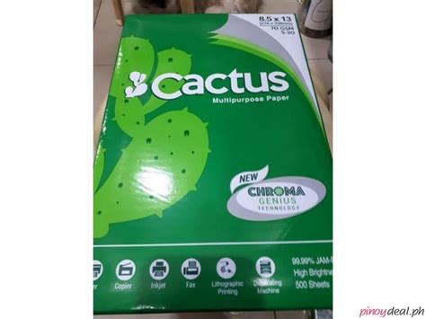 See how to make an easy toilet paper roll cactus. Cactus Multipurpose Bond Paper Makati - Philippines Buy ...