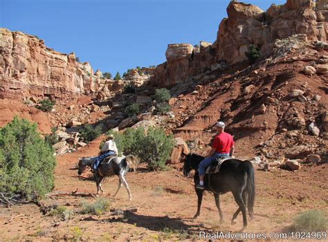 Horses Hiking And Tours In Utah Torrey Utah Horseback Riding
