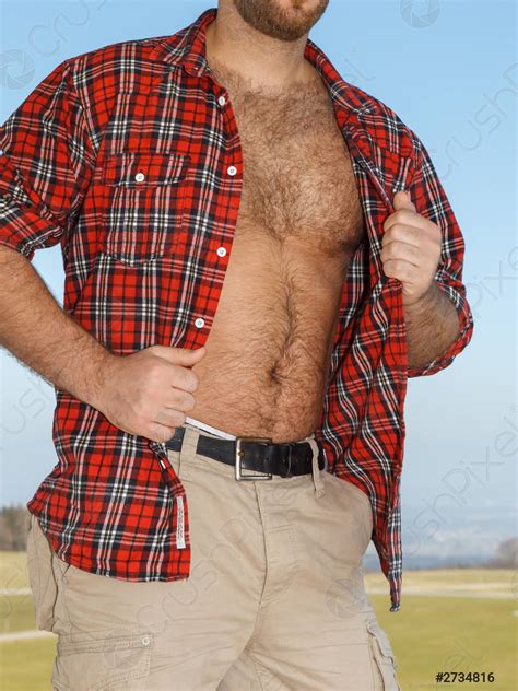 Very Hairy Male Body Stock Photo Crushpixel