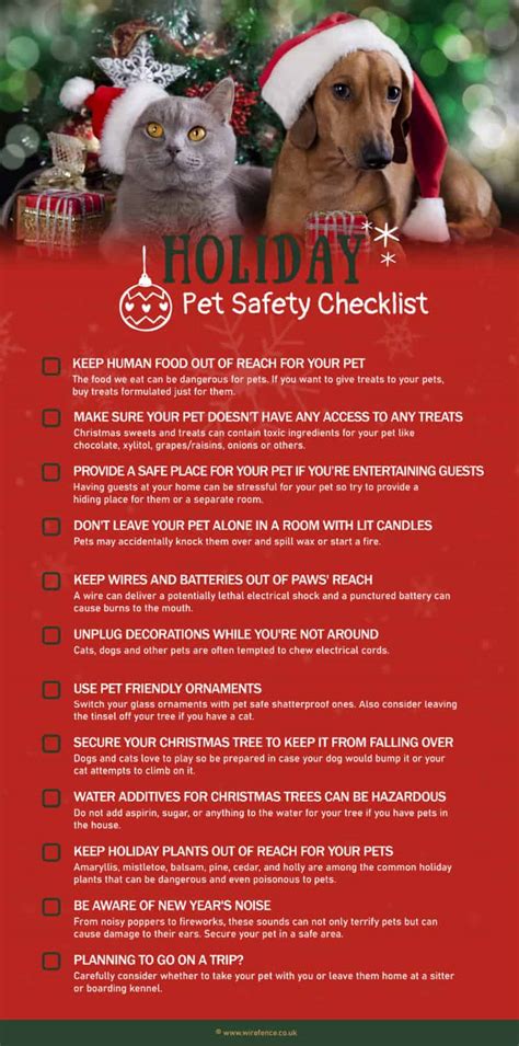 10 Ways To Keep Your Pet Safe During The Holidays