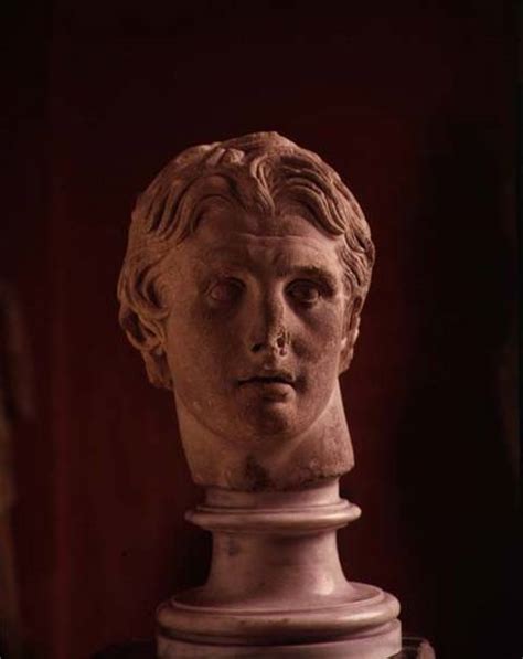 Head Of Alexander The Great Found At Pe Anonymous