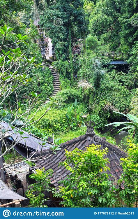 Lush Tropical Rainforest In Ubud Bali Indonesia Stock Photo Image