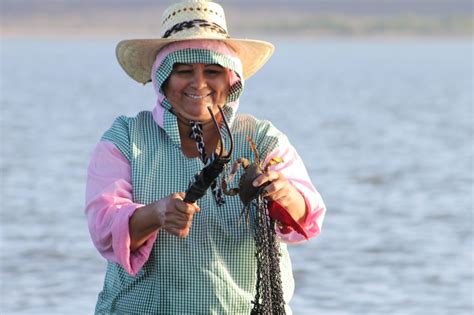 Las Mujeres Se Colocan En El Centro De La Transformación De La Pesca Y