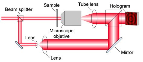 A New Computational Approach To Digital Holographic Microscopy
