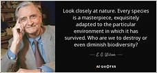 TOP 25 QUOTES BY E. O. WILSON (of 271) | A-Z Quotes