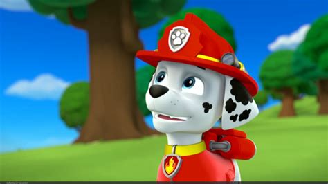 Marshall Marshall Paw Patrol Photo 40156631 Fanpop