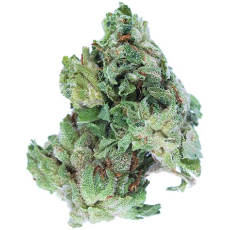 Gorilla Glue 4 Balanced Hybrid Cannabis Strain Mmjdirect
