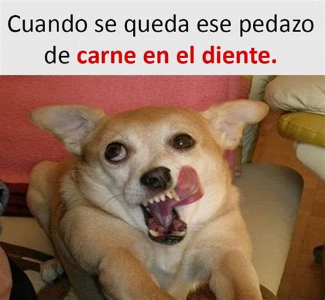 Looking to download safe free latest software now. 30 Imágenes y Memes graciosos de Febrero 2017 - Imagenes ...