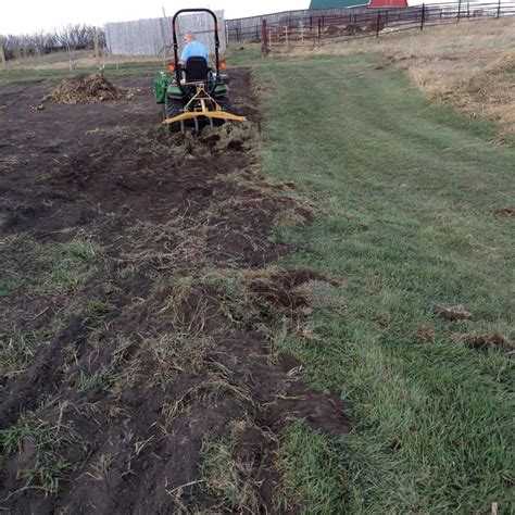 Getting rid of quackgrass requires persistence. Quack Grass Invasion - Fast Family Farms