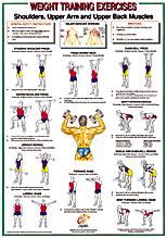 Simply put, muscle memory is your body's ability to activate muscle fibers quickly and efficiently due to having done it so many times in the past. Shoulders-Upper Arm/Back Muscles Chart Shoulders-Upper Arm ...