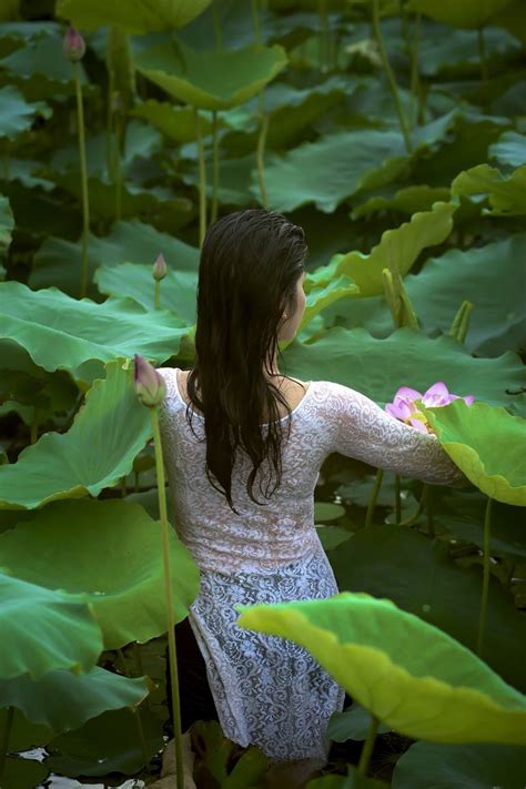 Museum Edition The Lotus Lake X Photography By Viet Ha Tran Saatchi Art
