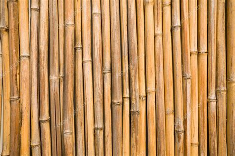 Bamboo Wall — Stock Photo © Stask 1786462
