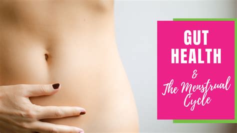 gut health and the menstrual cycle be prepared period blog