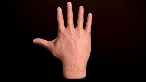 First Person Hand