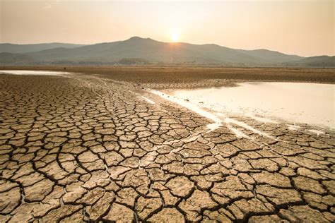 ‘water Risk Should Be The Leading Esg Issue Water Scarcity Threat To Food Sector Revealed