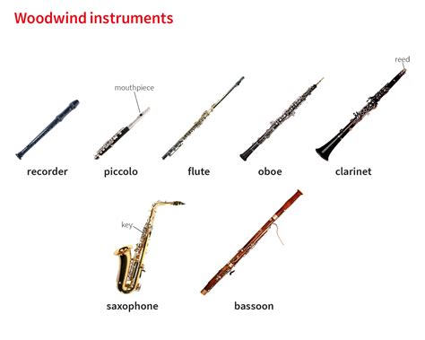 Woodwind Noun Definition Pictures Pronunciation And Usage Notes