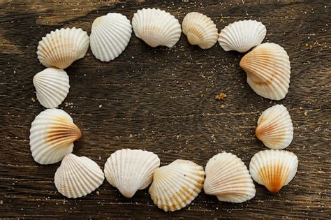 Premium Photo Seashells On Wooden Surface